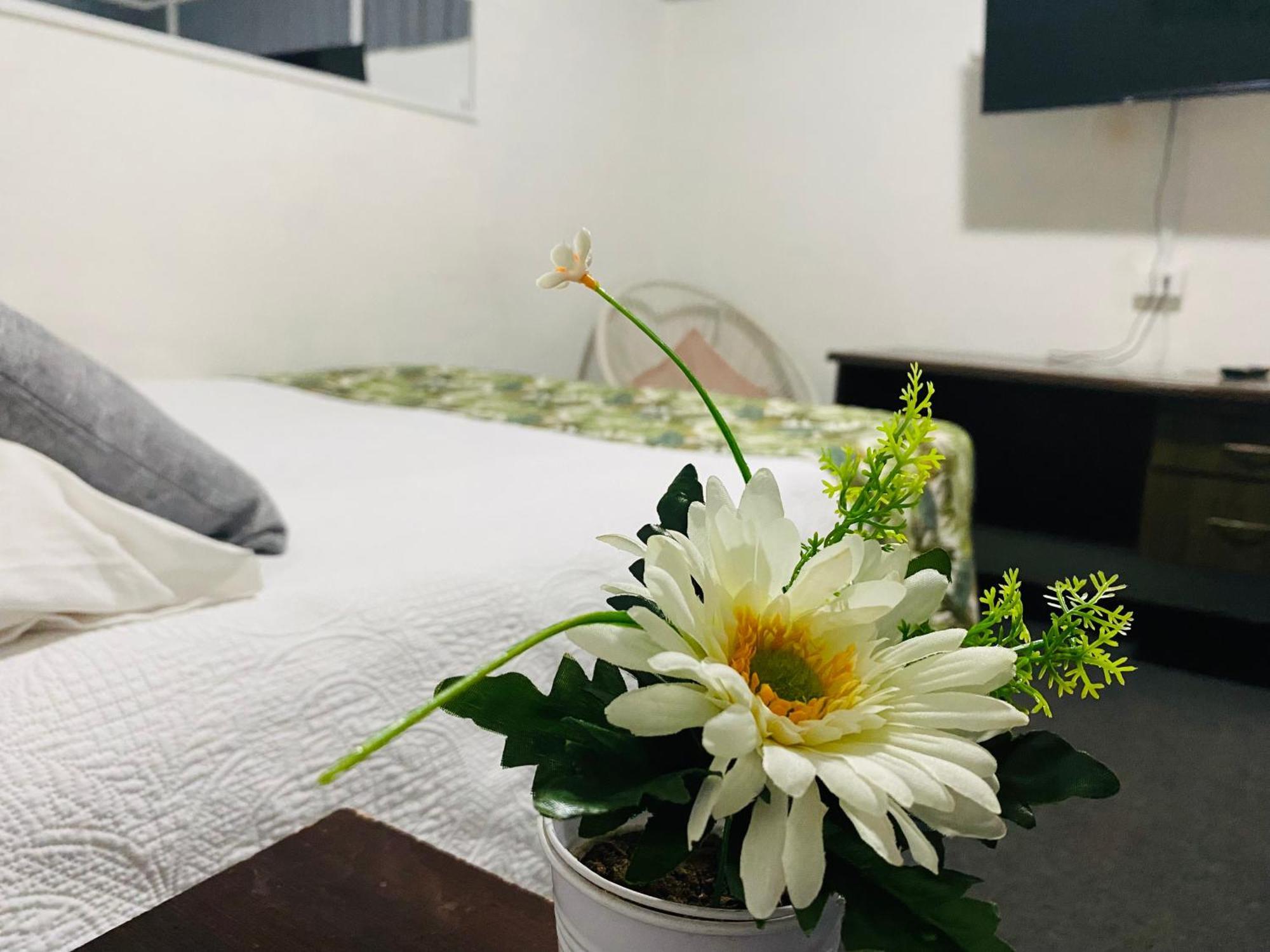 Hostal 3 Norte San Antonio  Kültér fotó