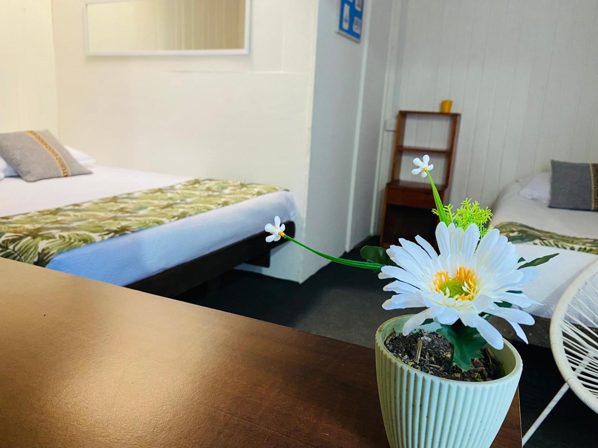 Hostal 3 Norte San Antonio  Kültér fotó